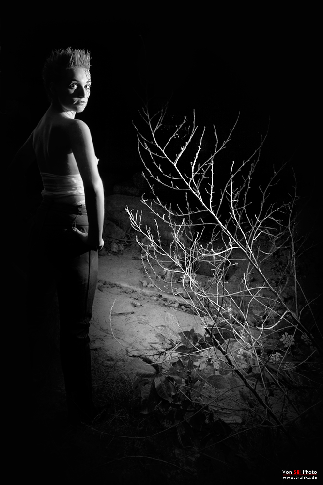 Lizard Time Dark Side II